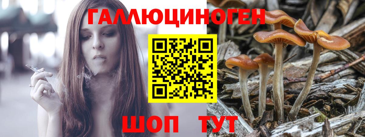 Галлюциногенные грибы мицелий  Вход с VPN  Псилоцибиновые грибы ЛСД  Отрадный 