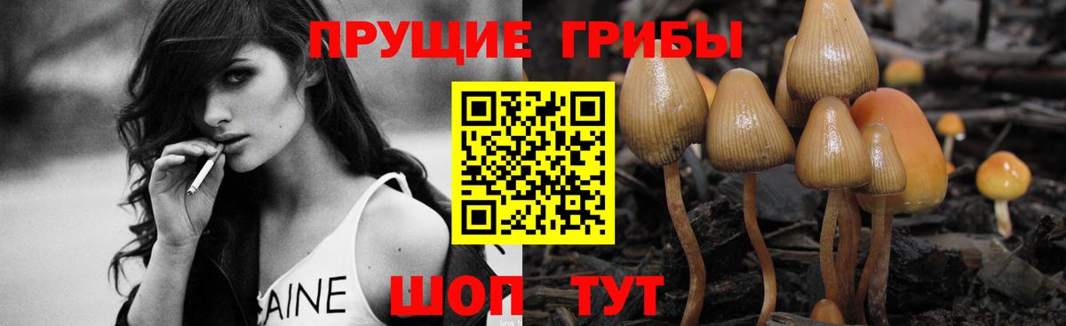 Псилоцибиновые грибы MAGIC MUSHROOMS Отрадный