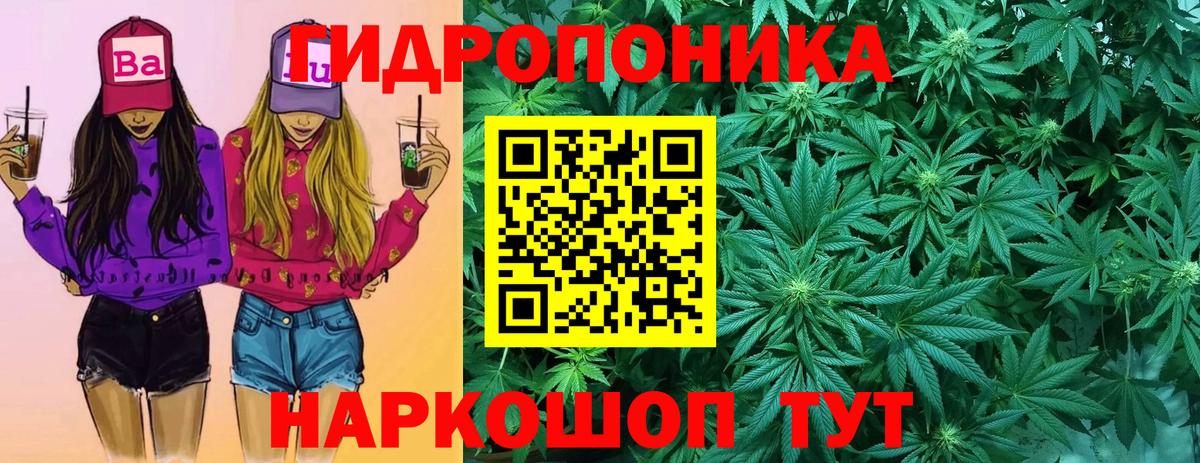 Канабис ГИДРОПОН  МАРИХУАНА конопля  Конопля тримм  Отрадный  Вход с VPN  МАРИХУАНА тримм 